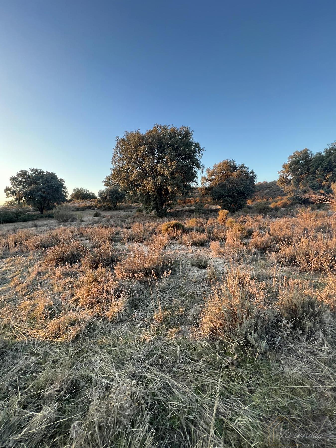 Venta de finca rústica en Sevilla la Nueva