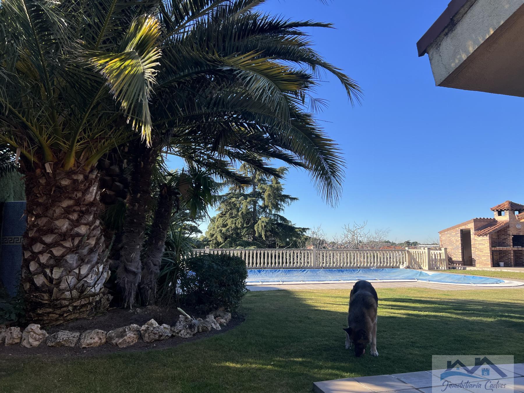 Jardín