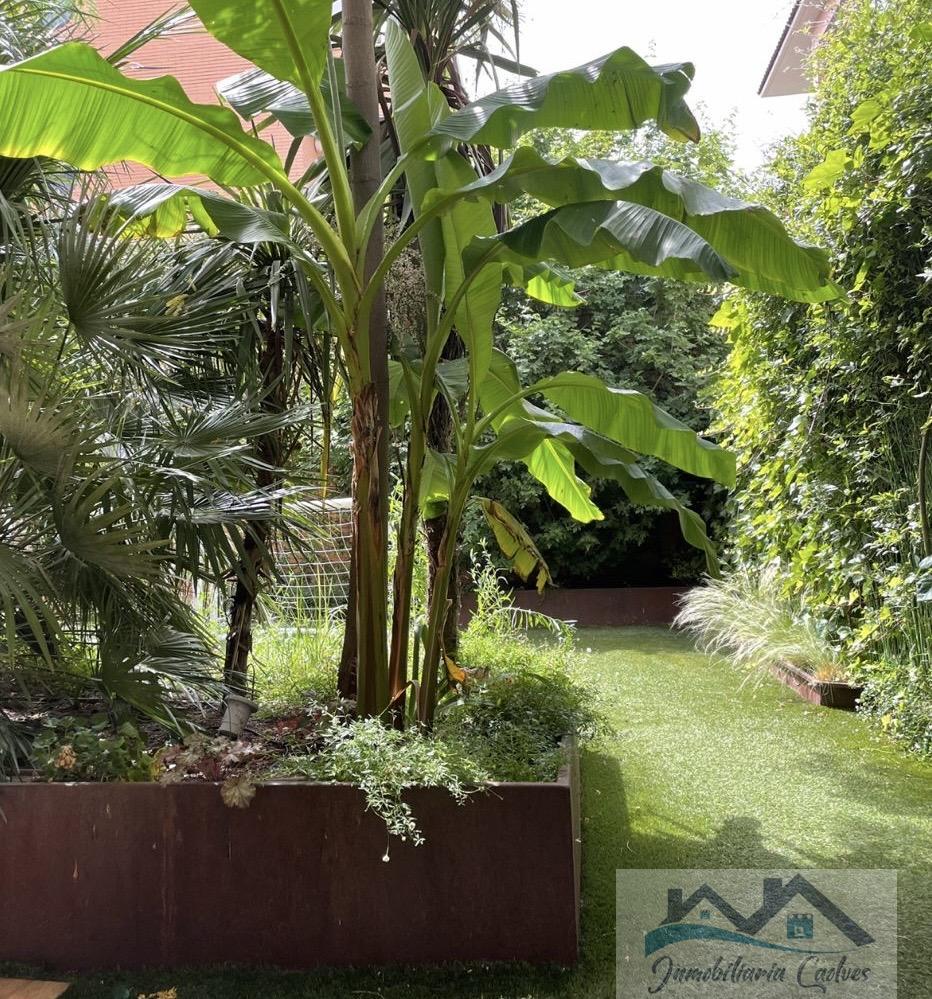 Alquiler de planta baja en Boadilla del Monte