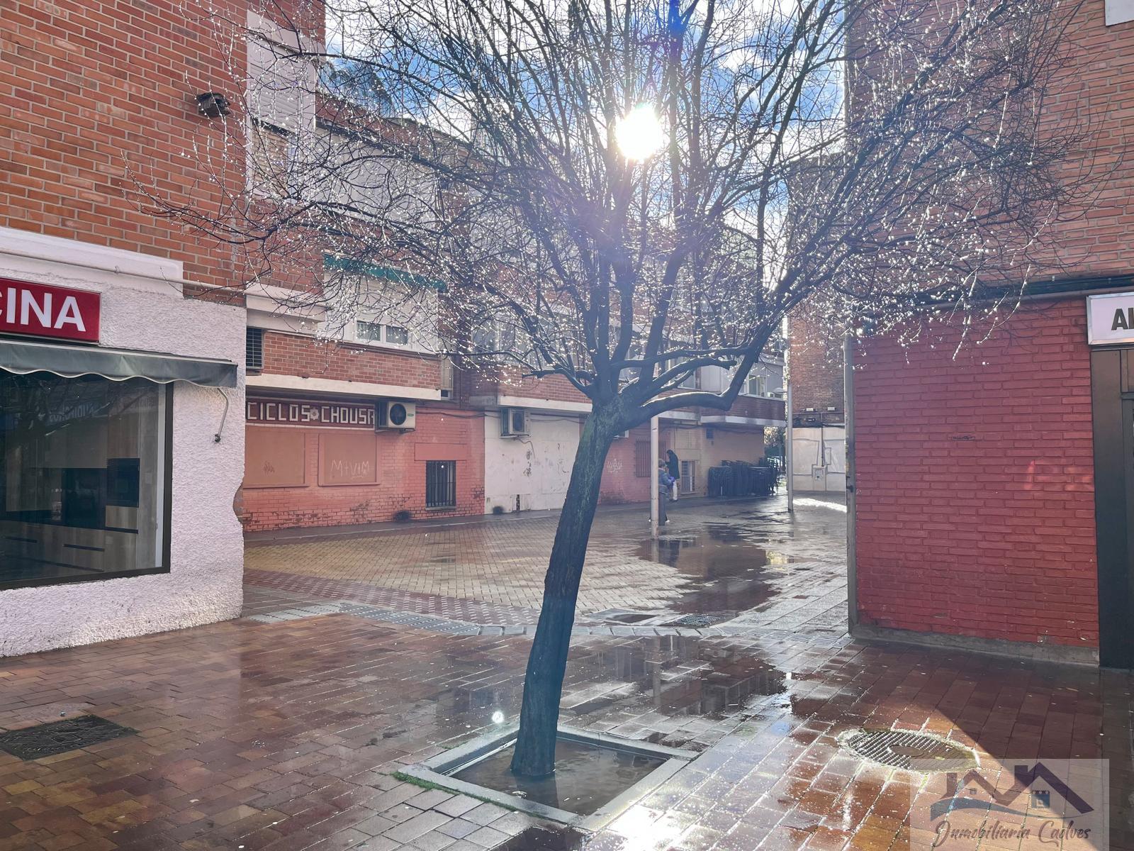 Alquiler de local en Pozuelo de Alarcón