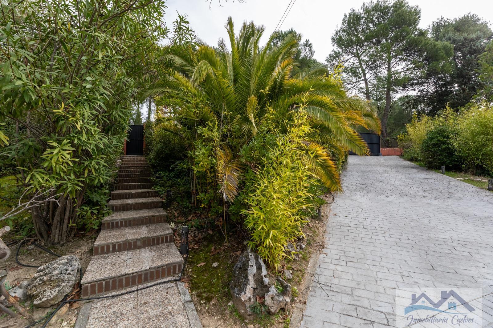Venta de chalet en Boadilla del Monte