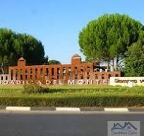 Venta de local en Boadilla del Monte