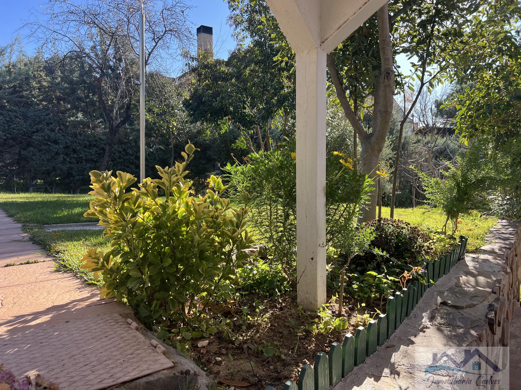 Jardín