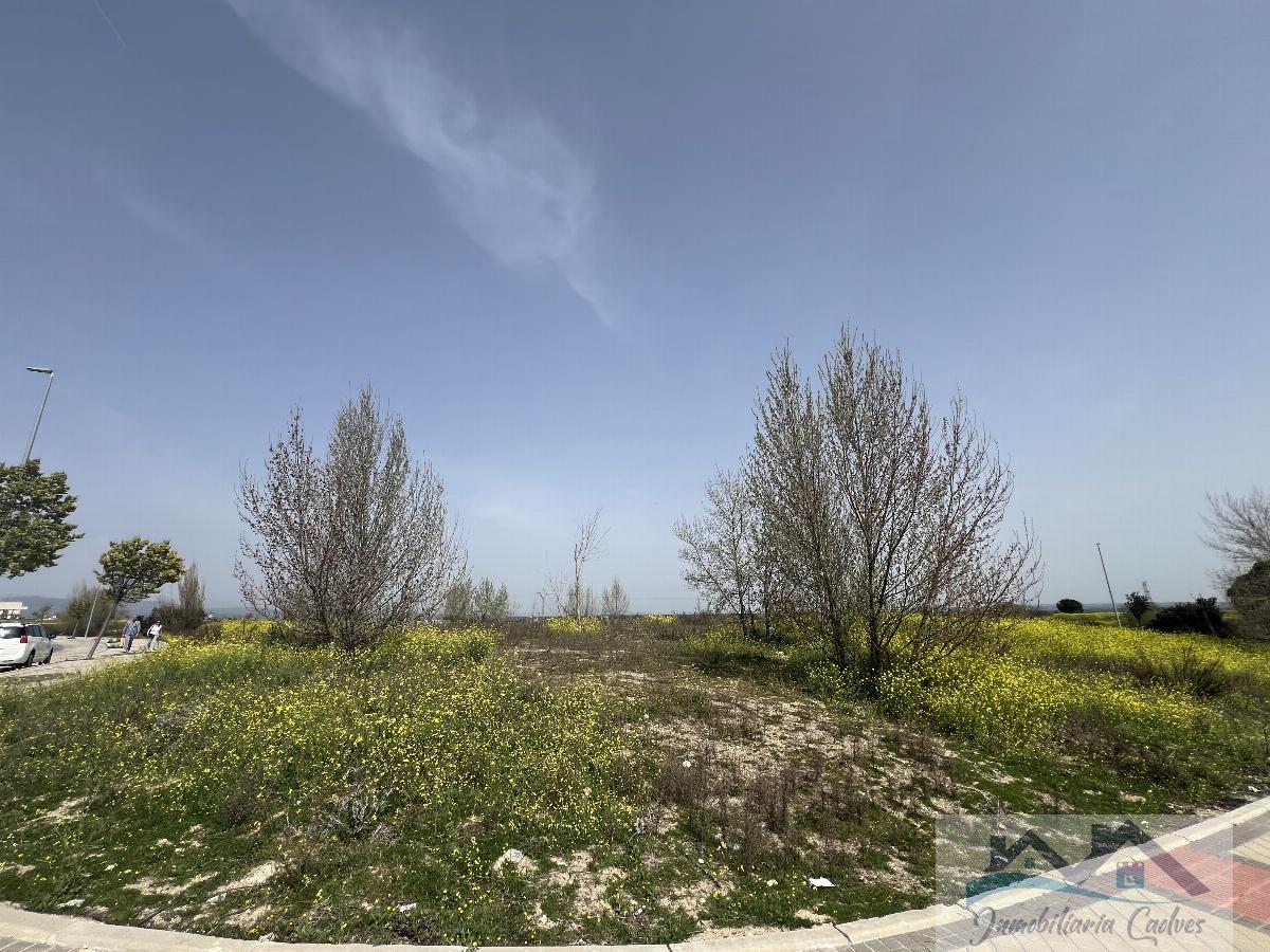 For sale of land in Las Rozas
