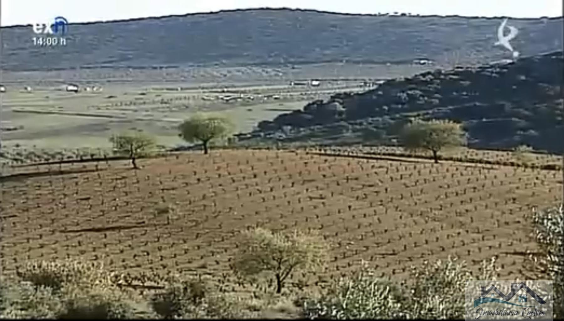 Venta de casa en Fuente del Maestre