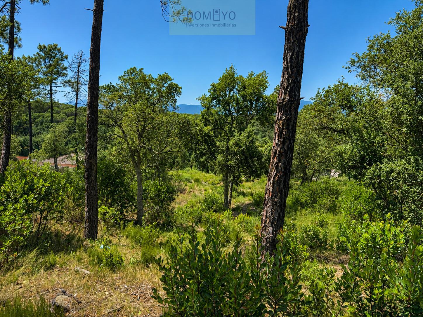 Venta de terreno en Caldes de Malavella
