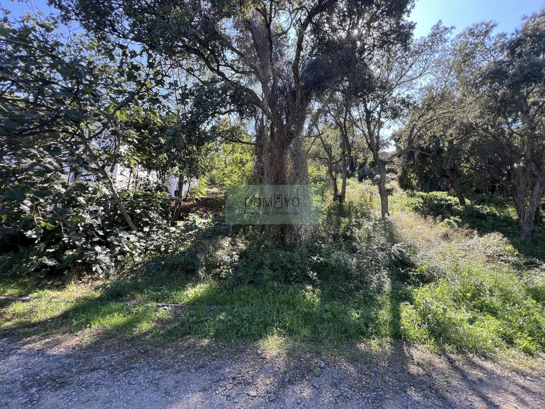 Vente de terrain dans Platja d´Aro