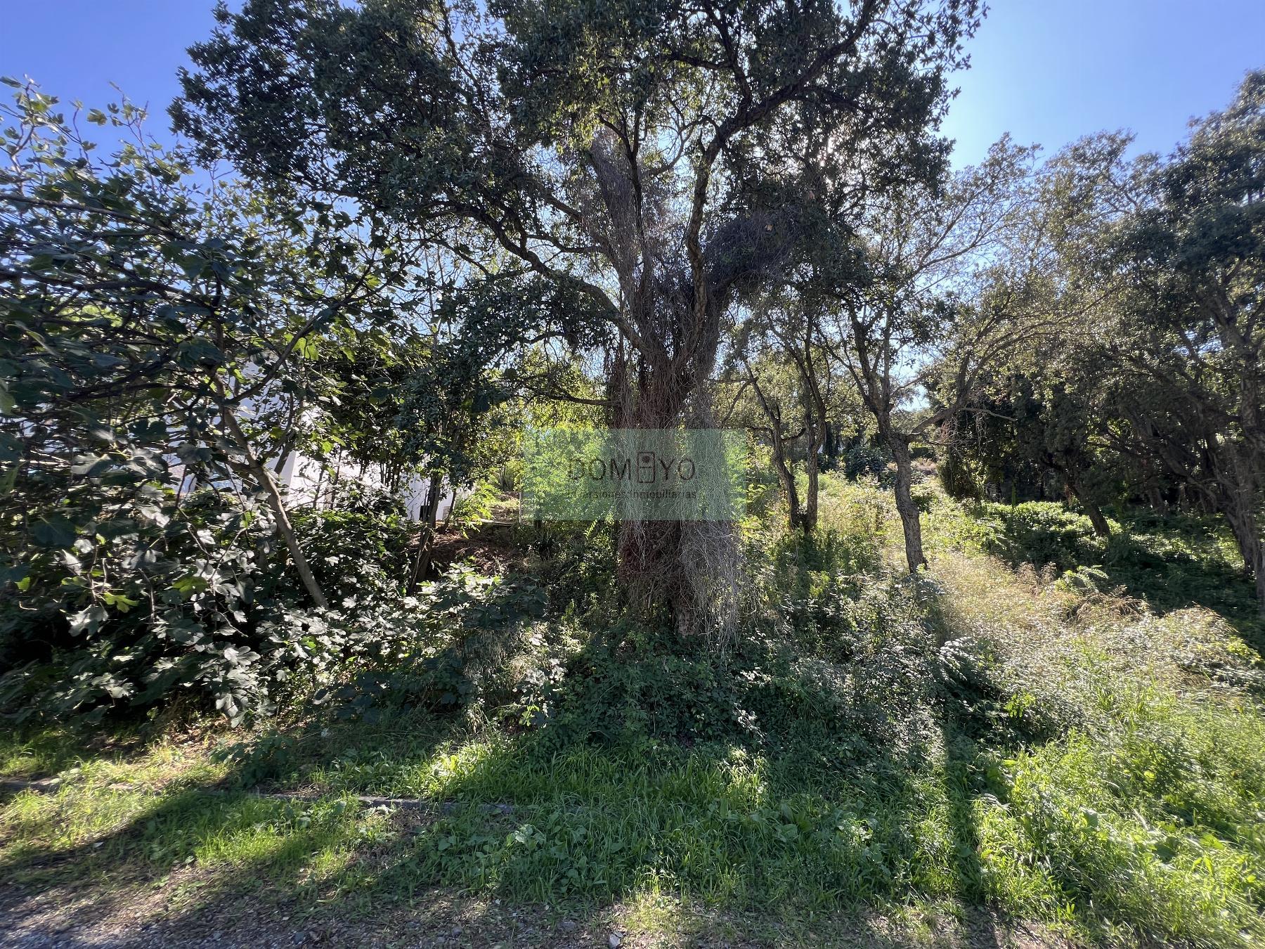 Vente de terrain dans Platja d´Aro