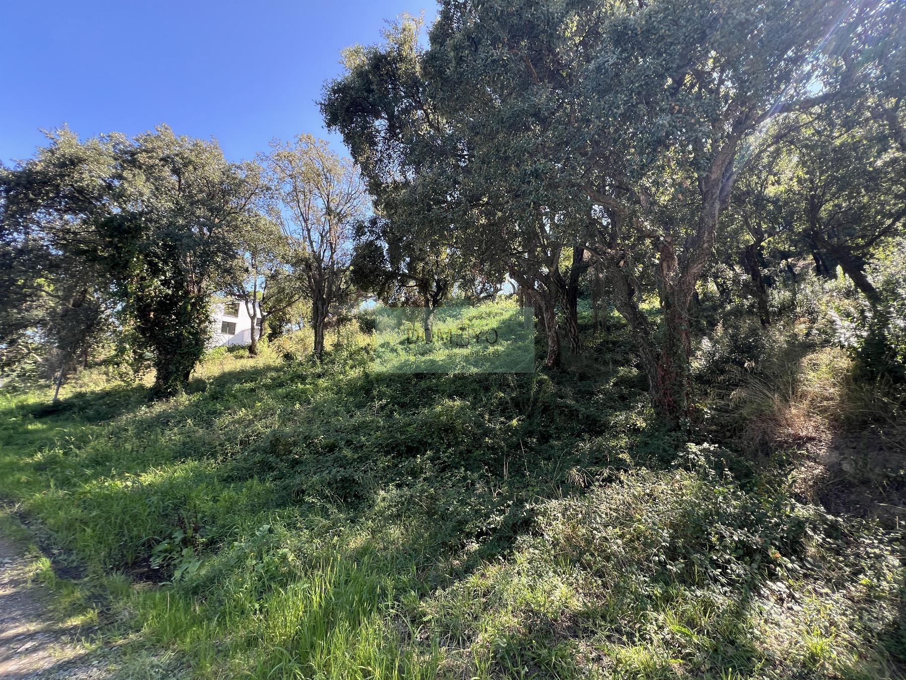 Vente de terrain dans Platja d´Aro