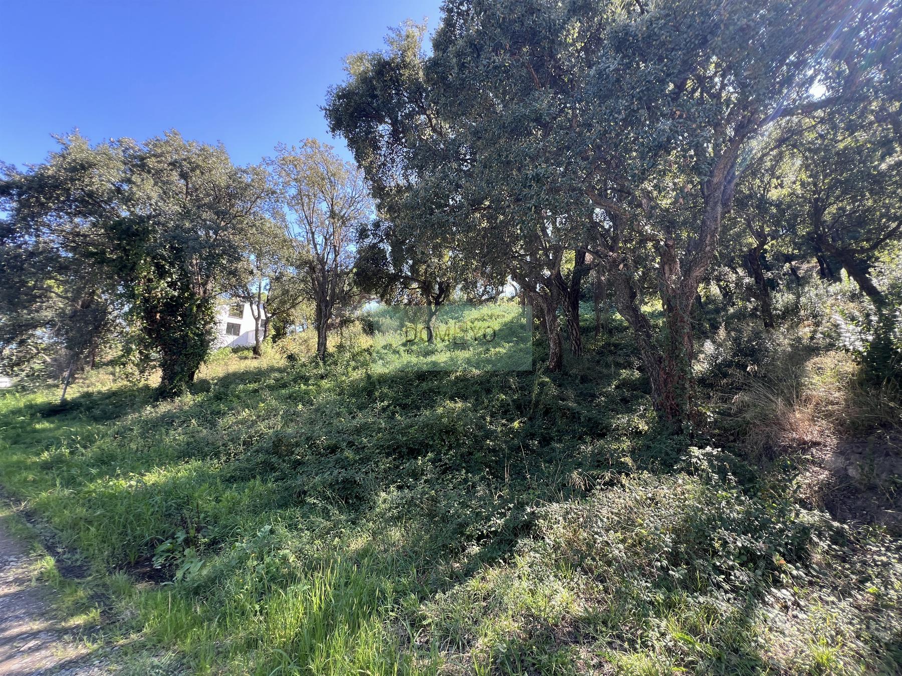 Vente de terrain dans Platja d´Aro