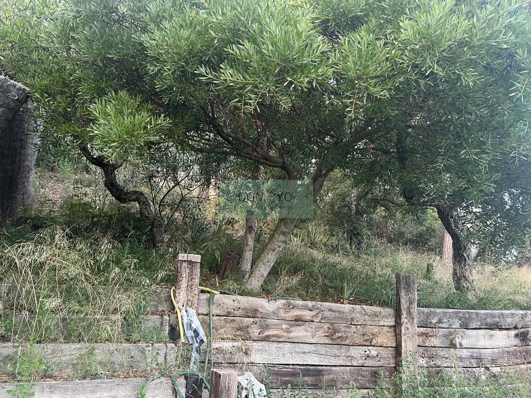 Venda de casa a Lloret de Mar