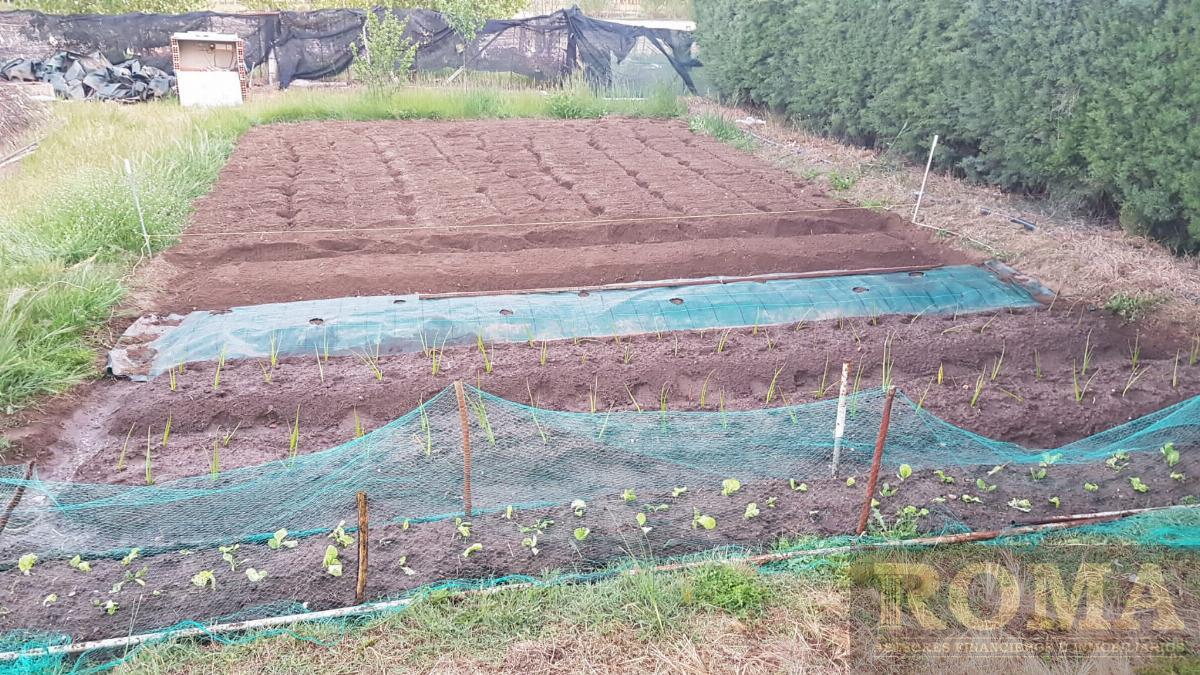 Venta de finca rústica en Florida de Liébana