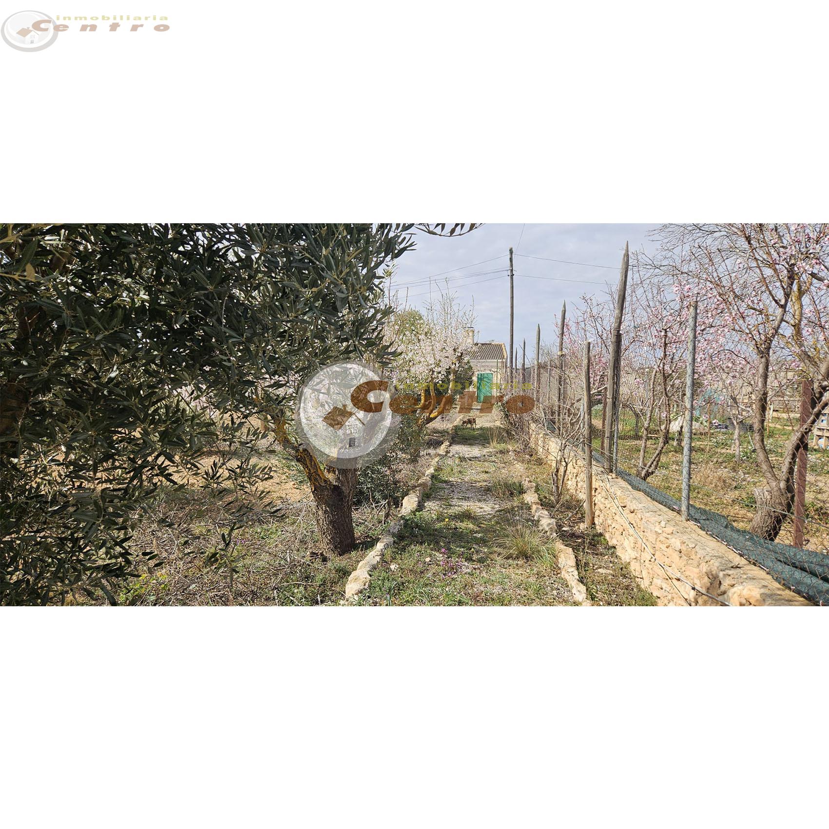 For sale of land in Pozohondo