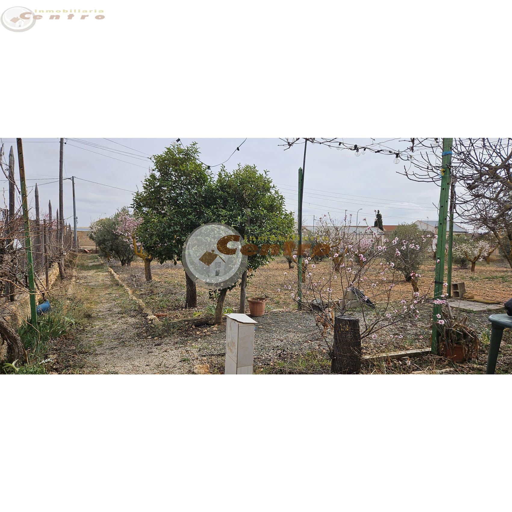For sale of land in Pozohondo