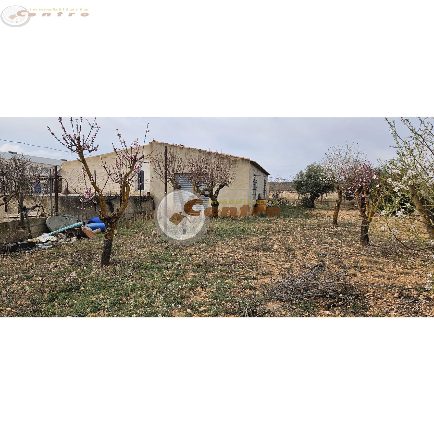For sale of land in Pozohondo