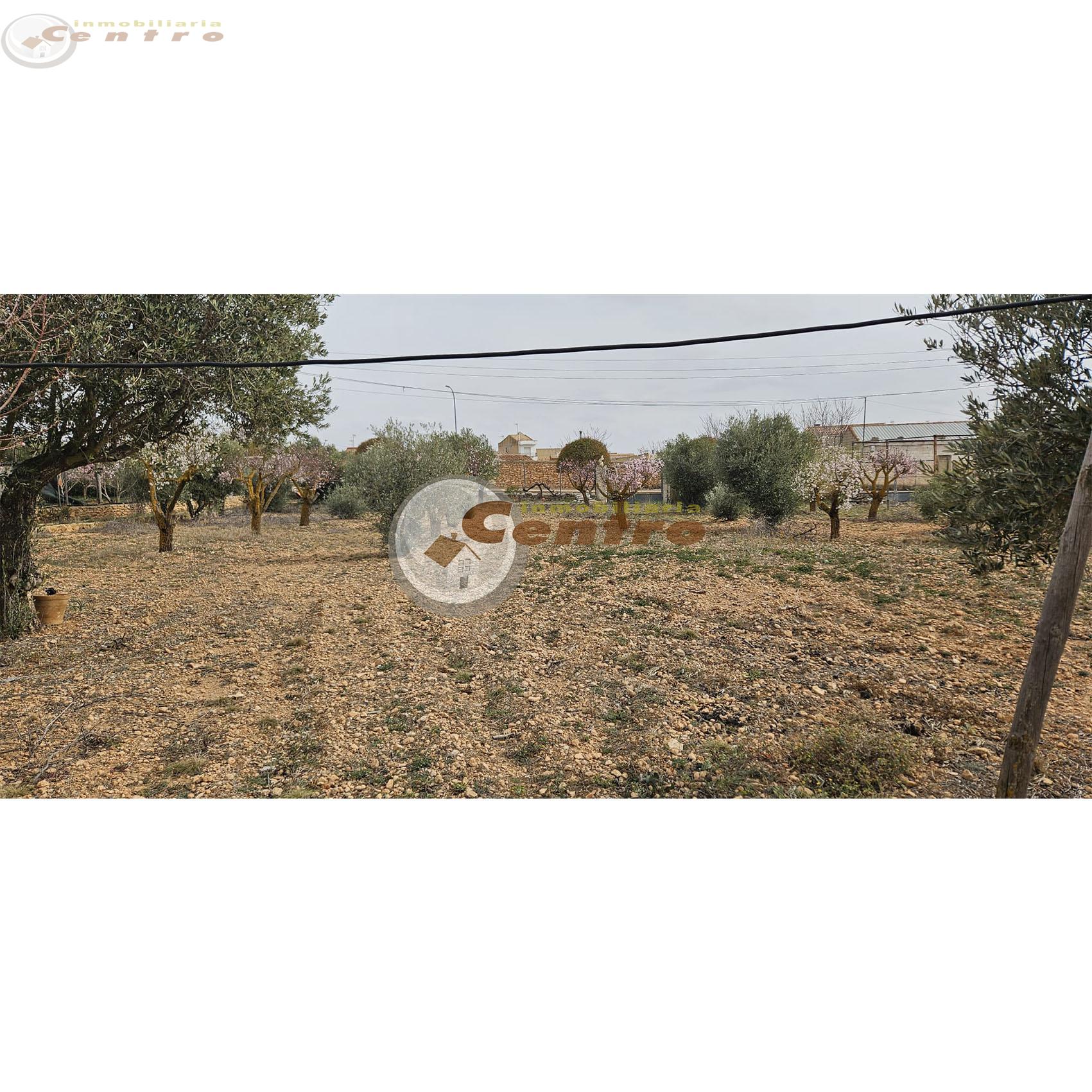 For sale of land in Pozohondo