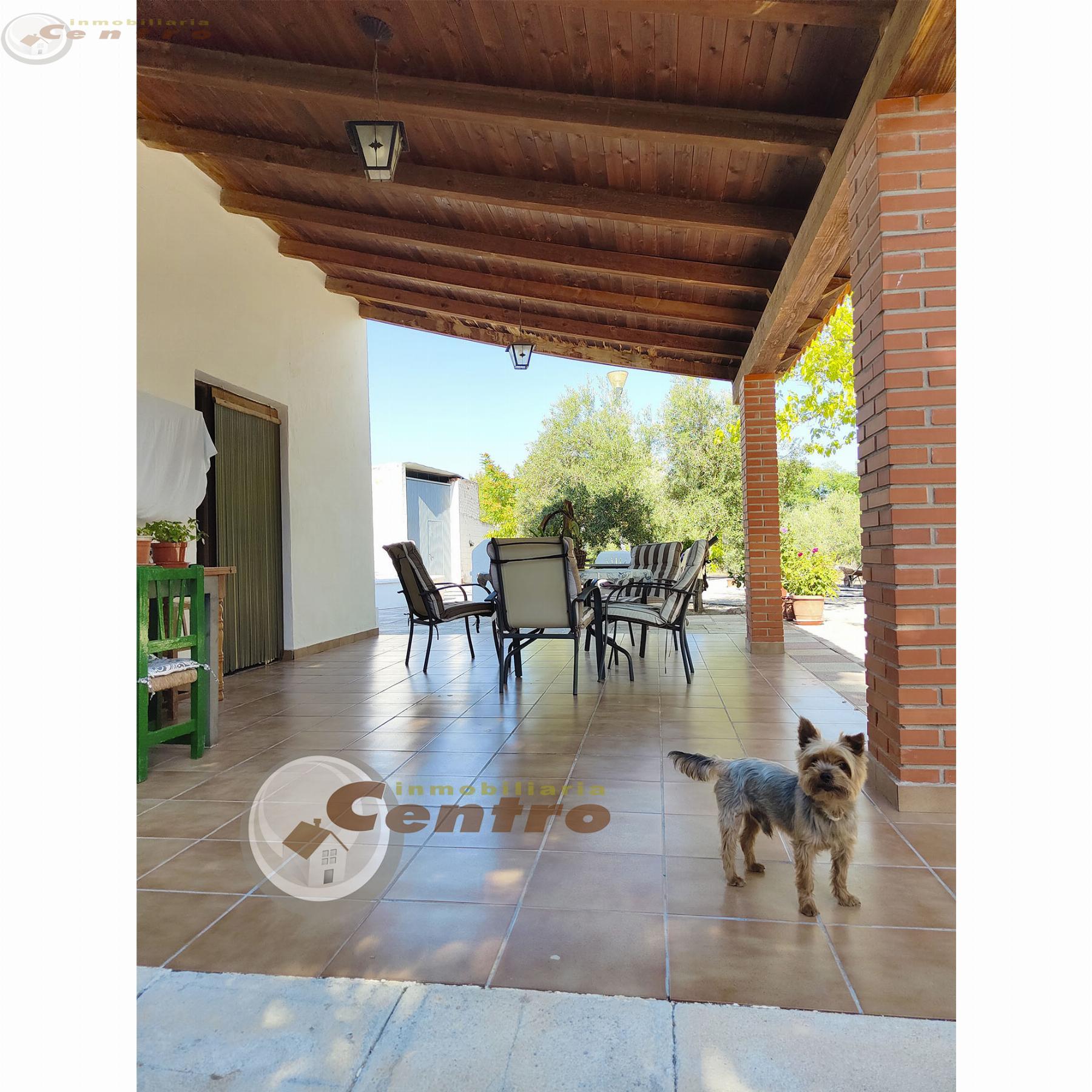 Venta de chalet en Albacete Venta de chalet en Albacete