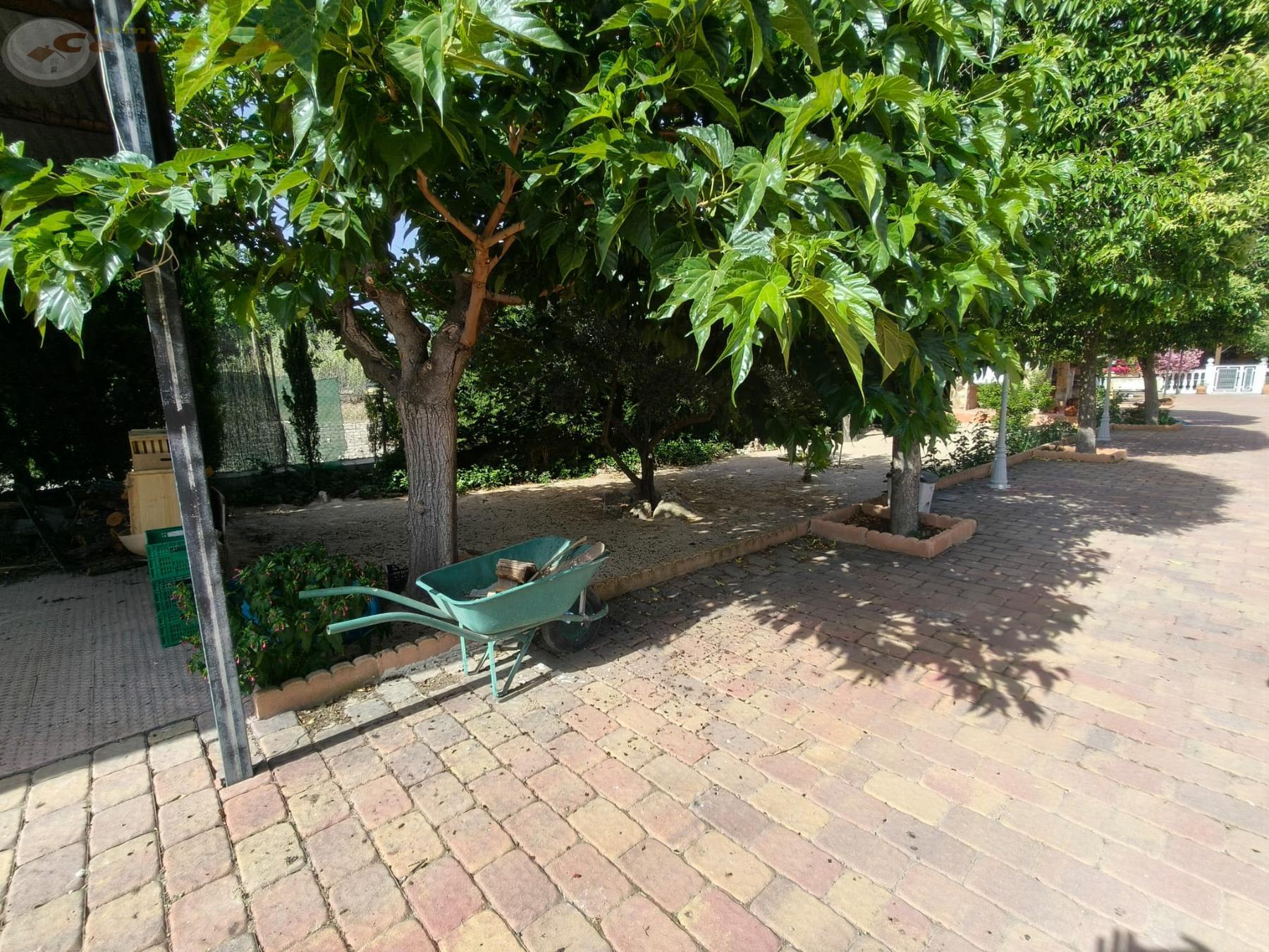 Venta de chalet en Albacete