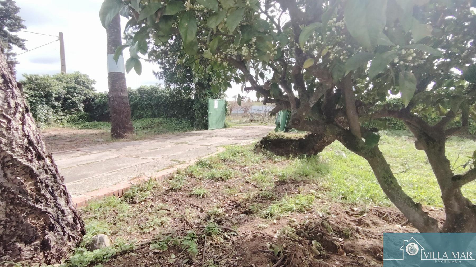 Venta de finca de recreo en Rota