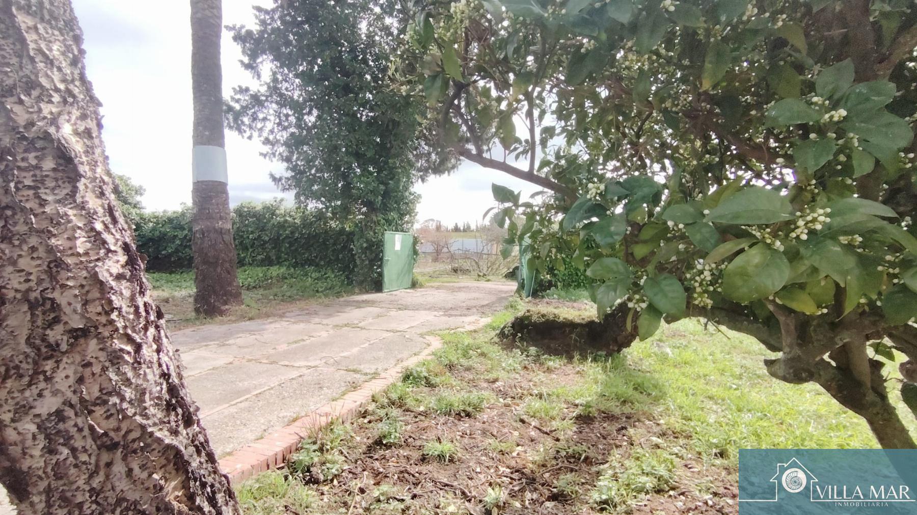 Venta de finca de recreo en Rota