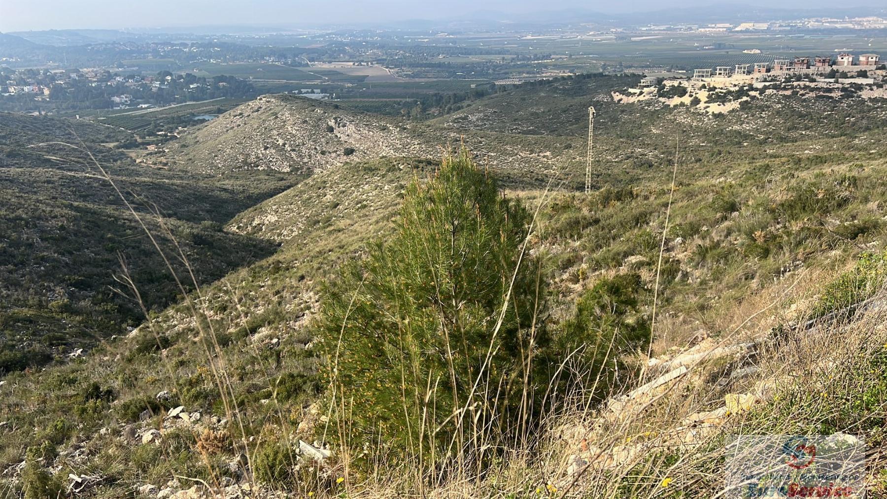 Venta de terreno en Chiva
