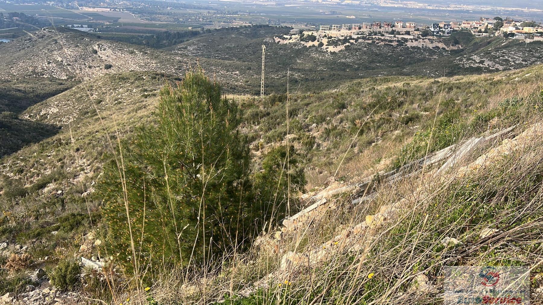 Venta de terreno en Chiva