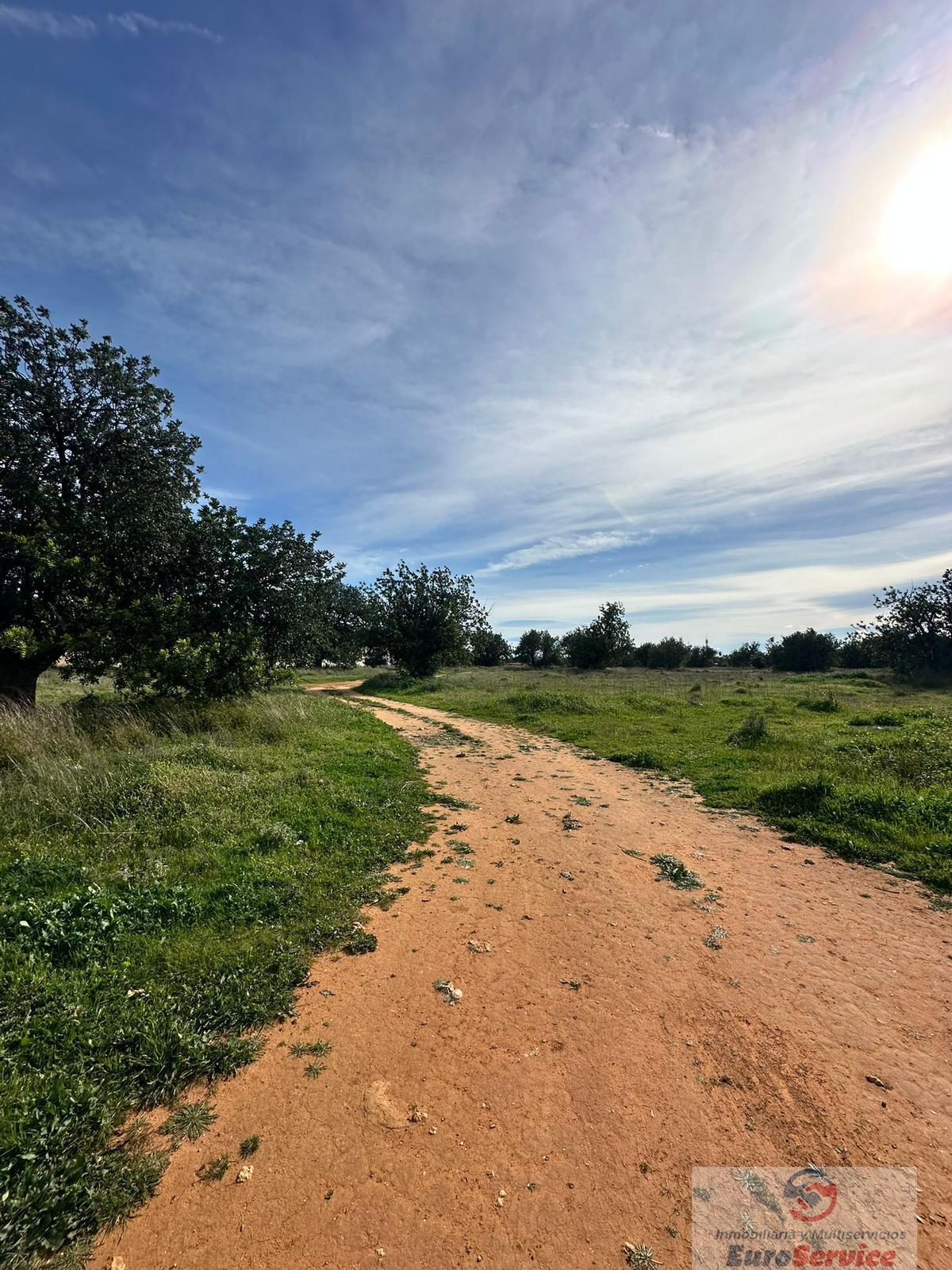 Venta de terreno en Quart de Poblet