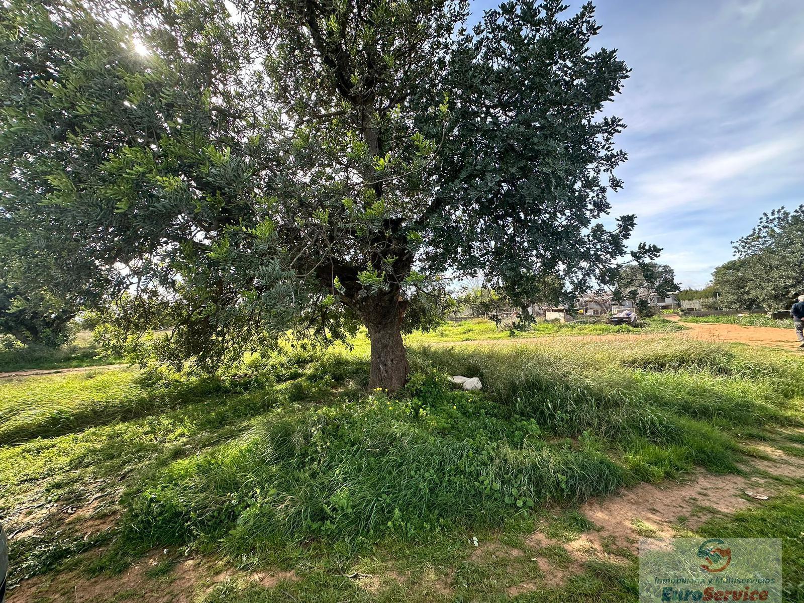 Venta de terreno en Quart de Poblet