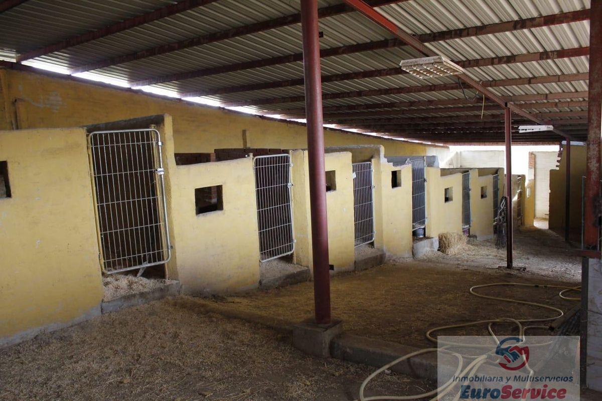 Venta de finca rústica en Ajalvir