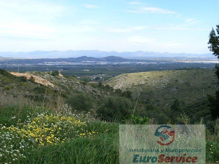 For sale of land in Torrent