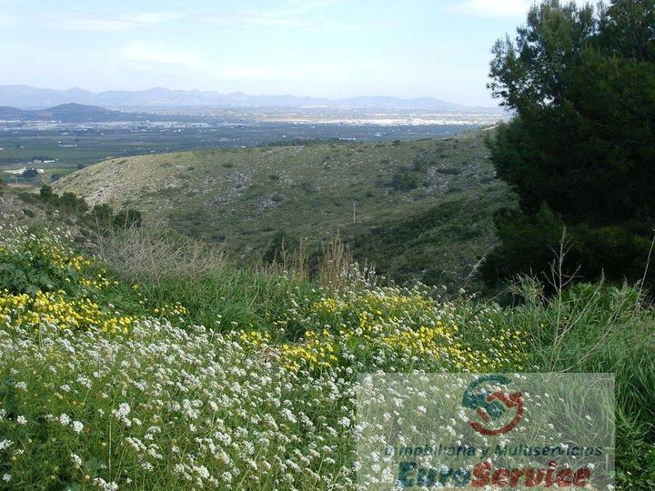 For sale of land in Torrent