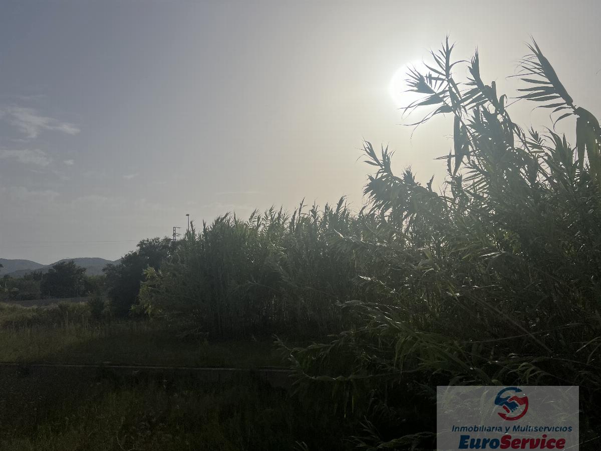 Venta de terreno en Oliva
