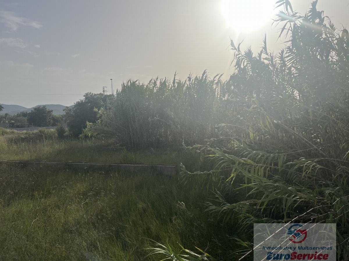Venta de terreno en Oliva