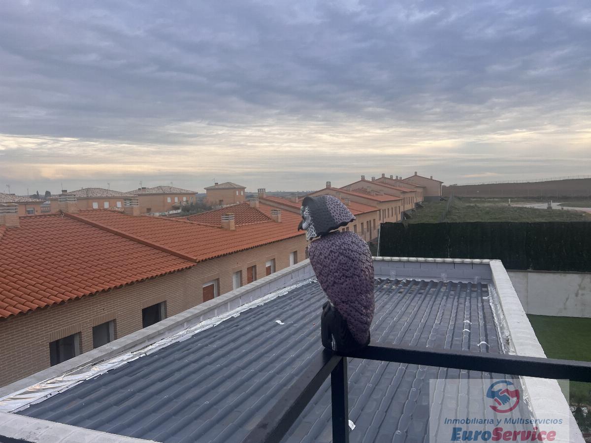 Vistas