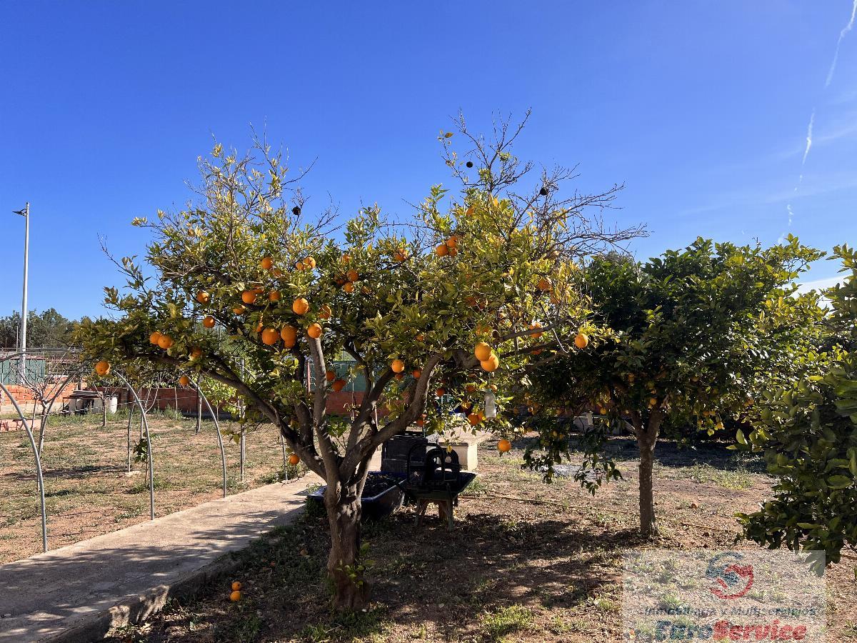 For sale of chalet in Moncada