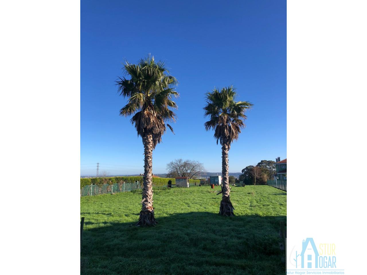 Venta de terreno en Avilés Concejo