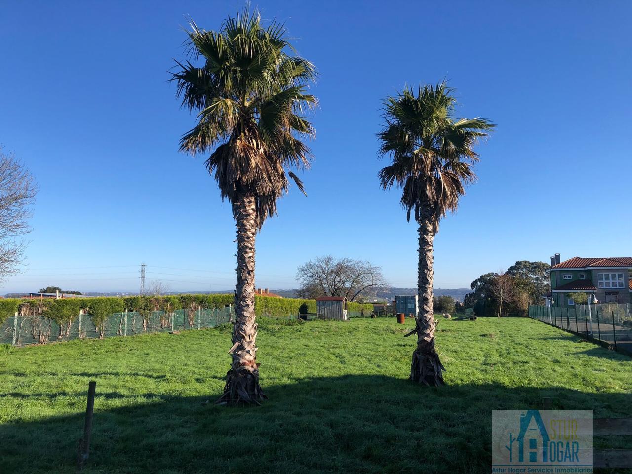 Venta de terreno en Avilés Concejo