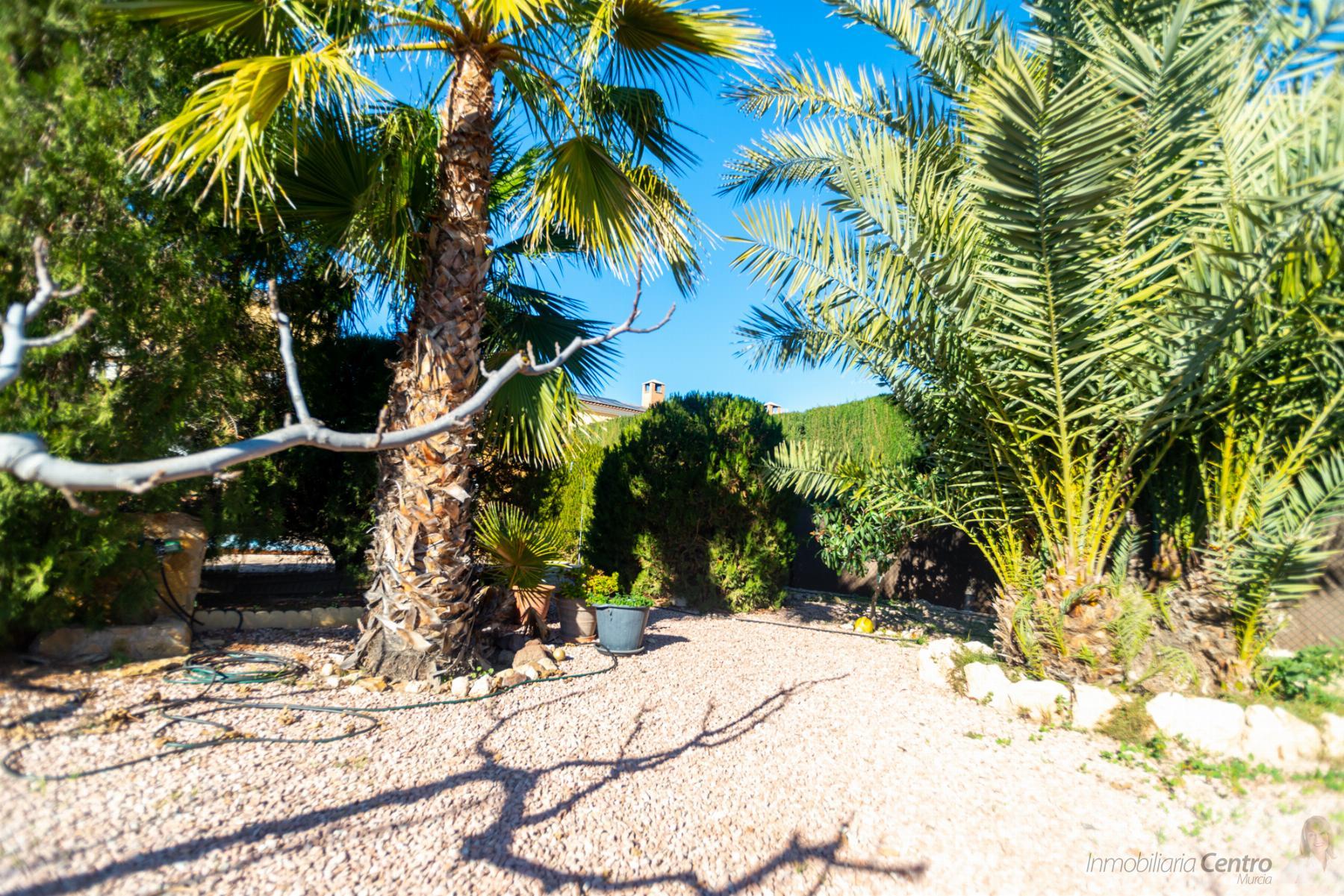 For sale of chalet in Murcia