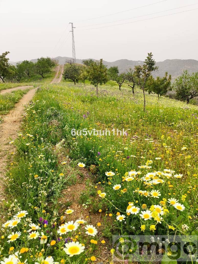 Venta de villa en Málaga