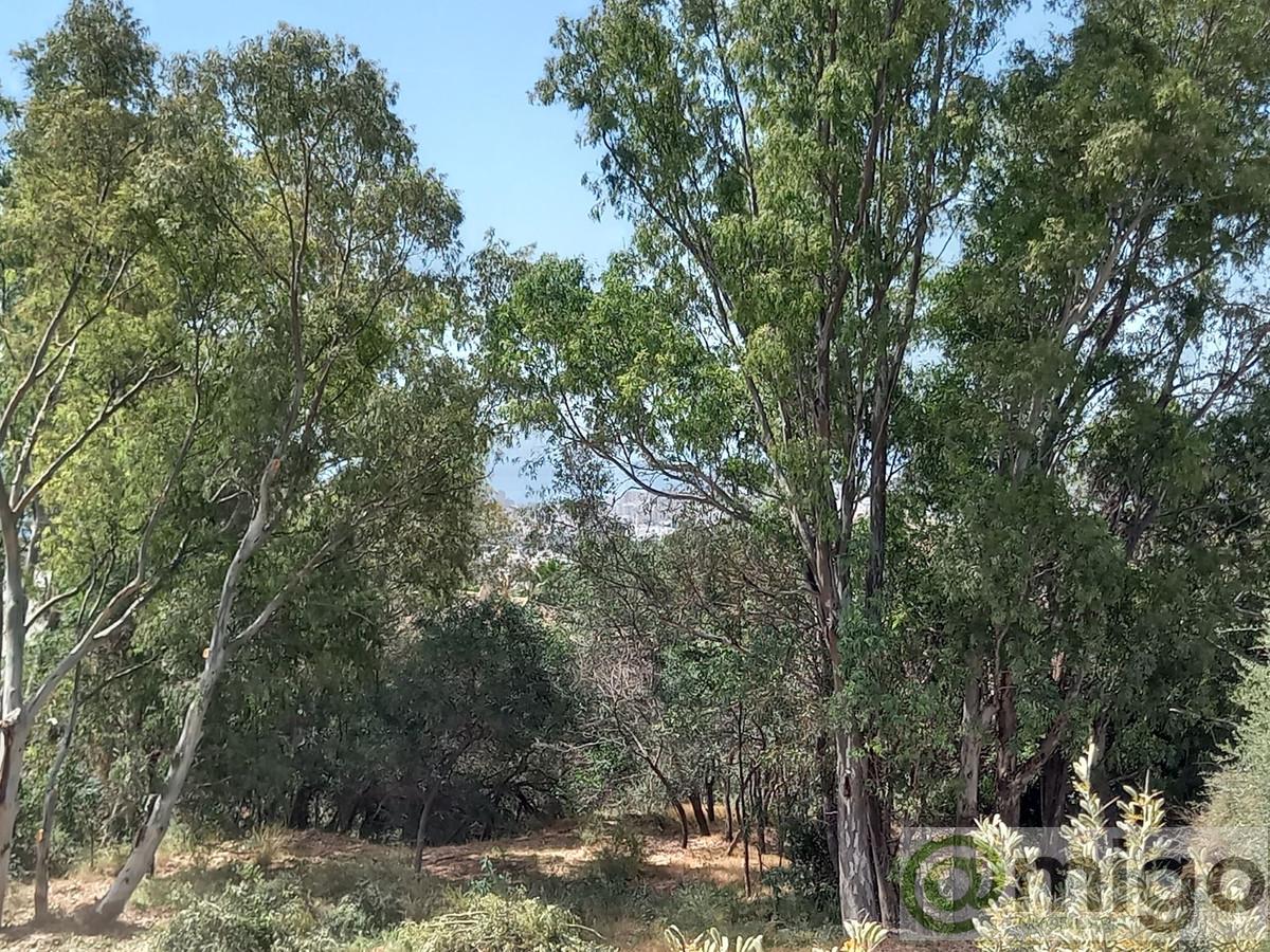 Venta de terreno en Mijas