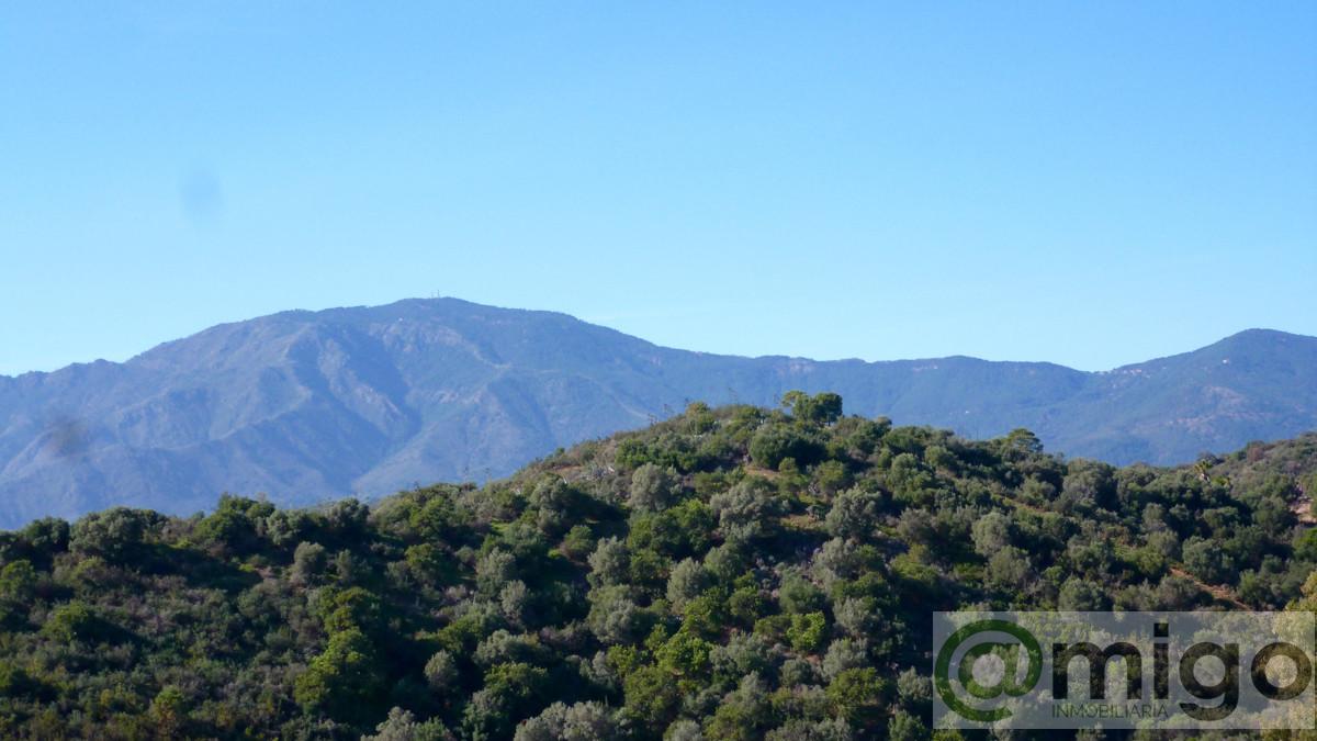 For sale of land in Marbella