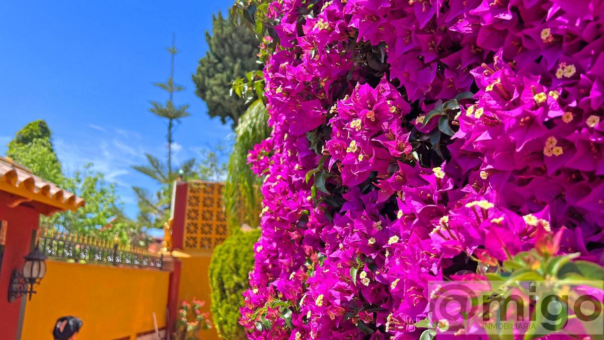 Venta de villa en Marbella