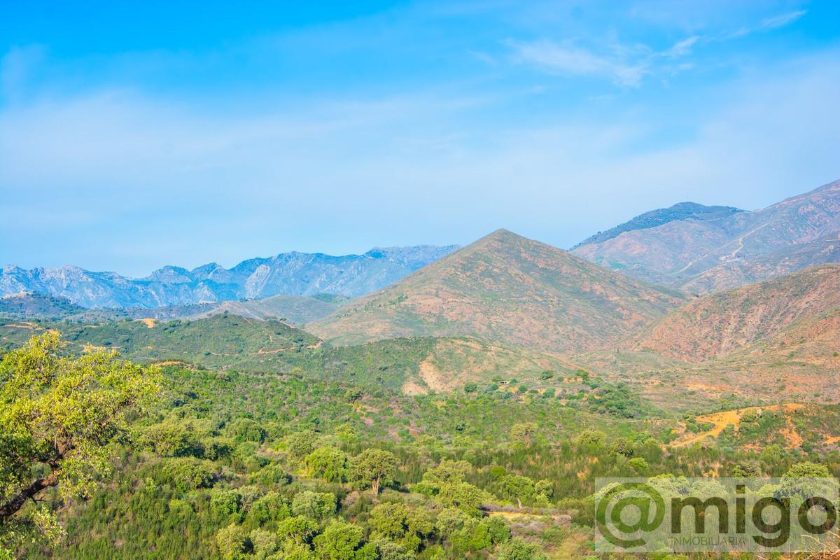 Venta de villa en Marbella