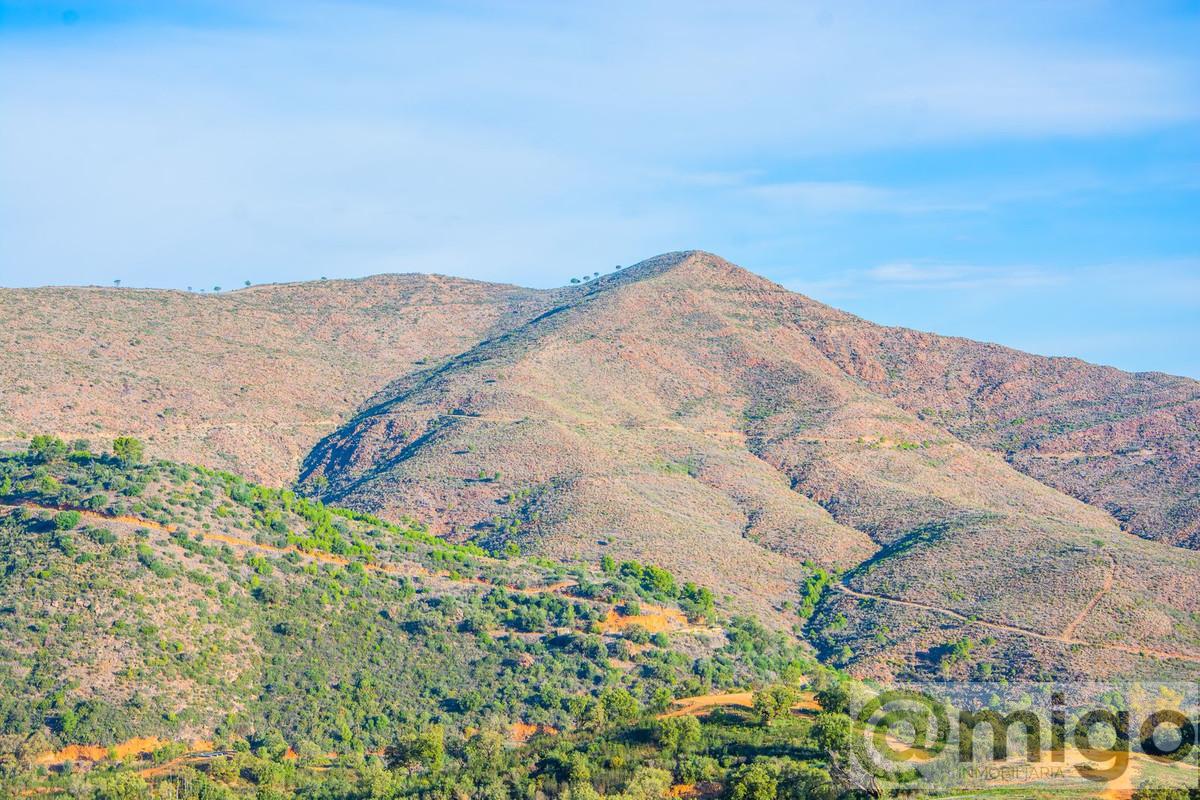 Venta de villa en Marbella