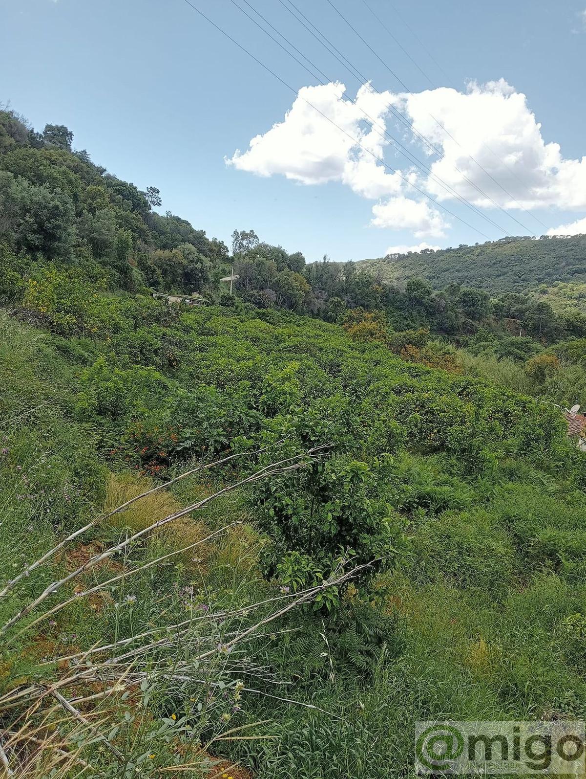 For sale of land in Estepona
