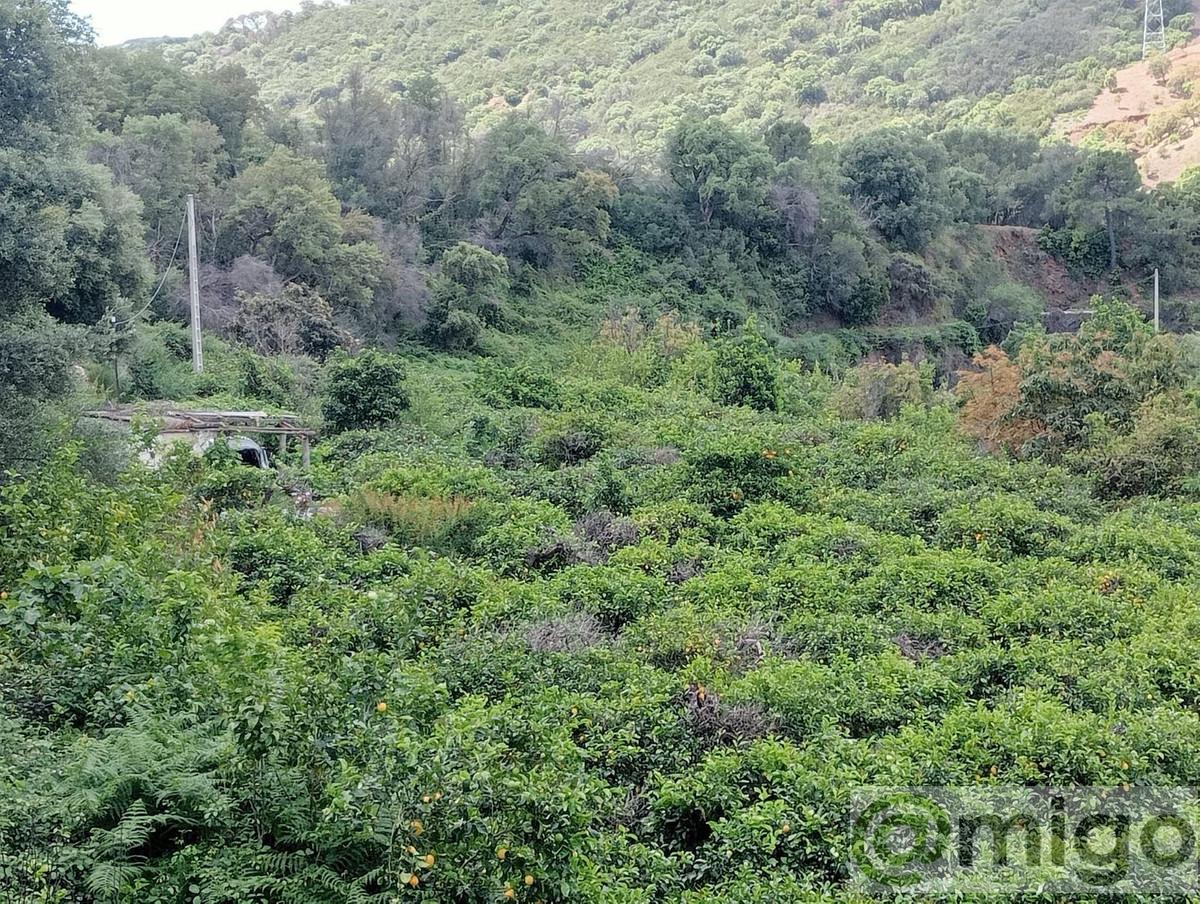 Venta de terreno en Estepona