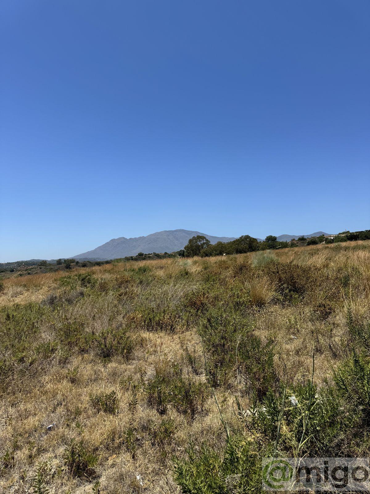 Venta de terreno en Selwo