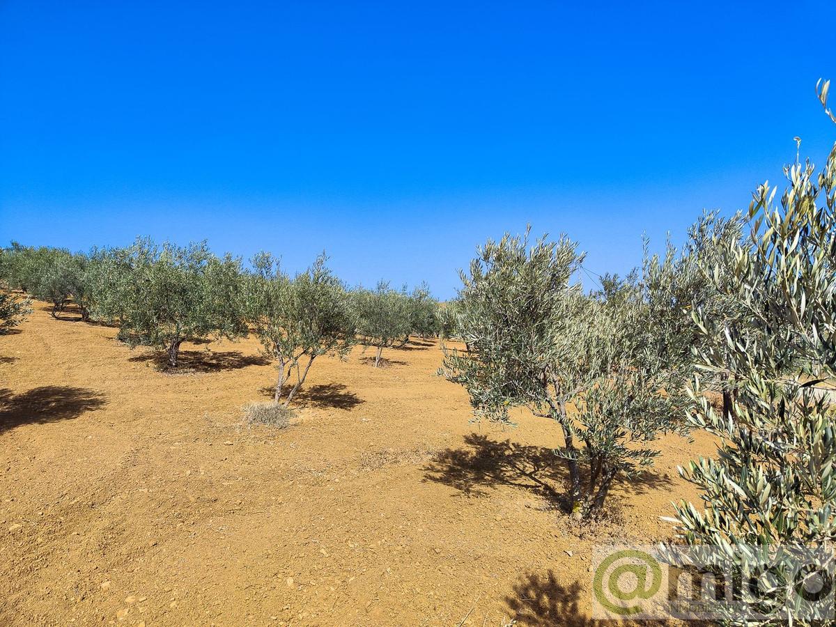 Venta de terreno en Coín