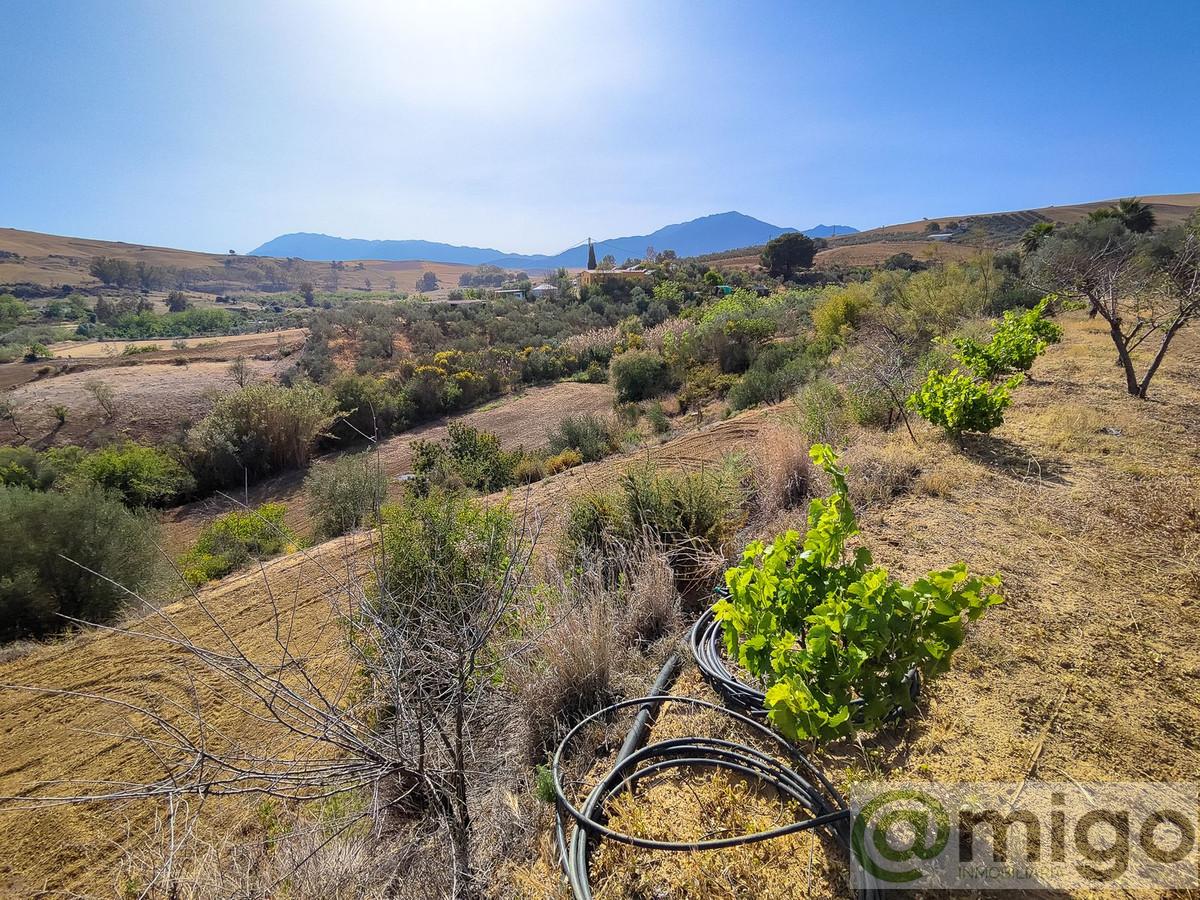 Venta de terreno en Coín