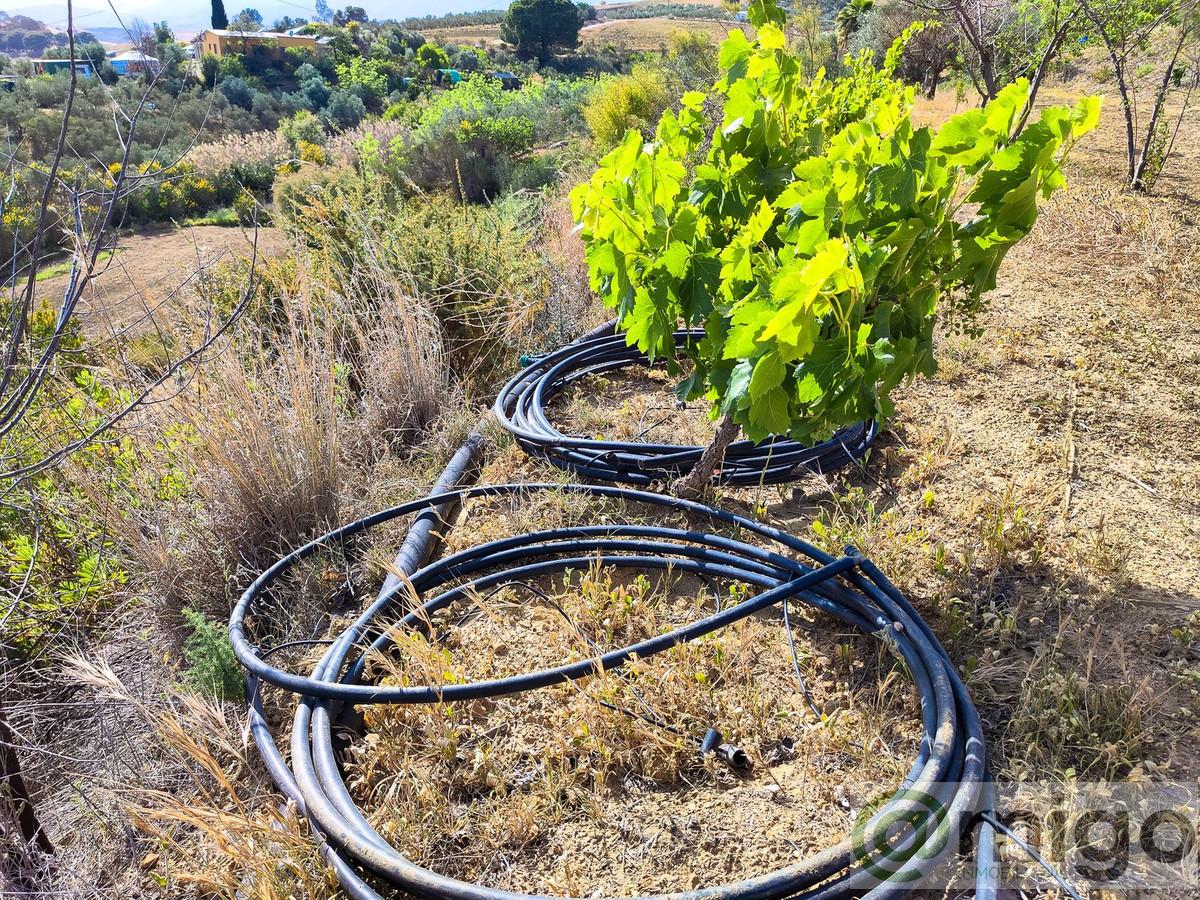 Venta de terreno en Coín